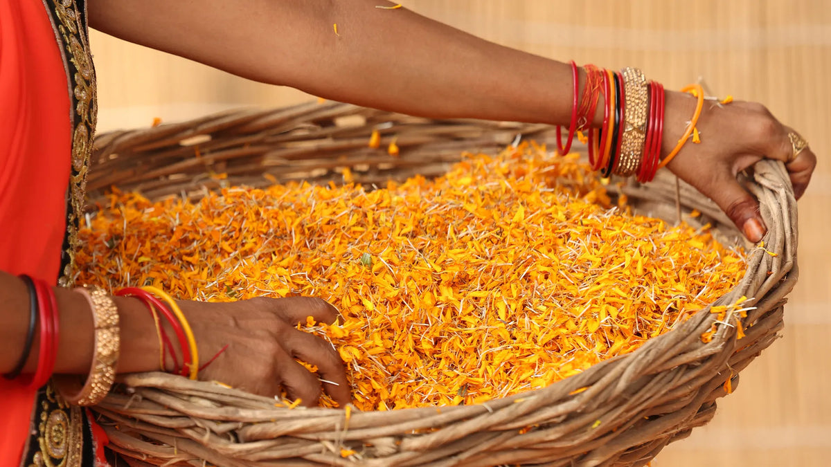 Chaitra Navratri 2024: Home Puja Rituals & Guide