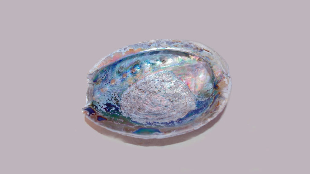 Significance of Mother of Pearl Zodiac Stone as Ideal Raksha Bandhan 2024 Gift