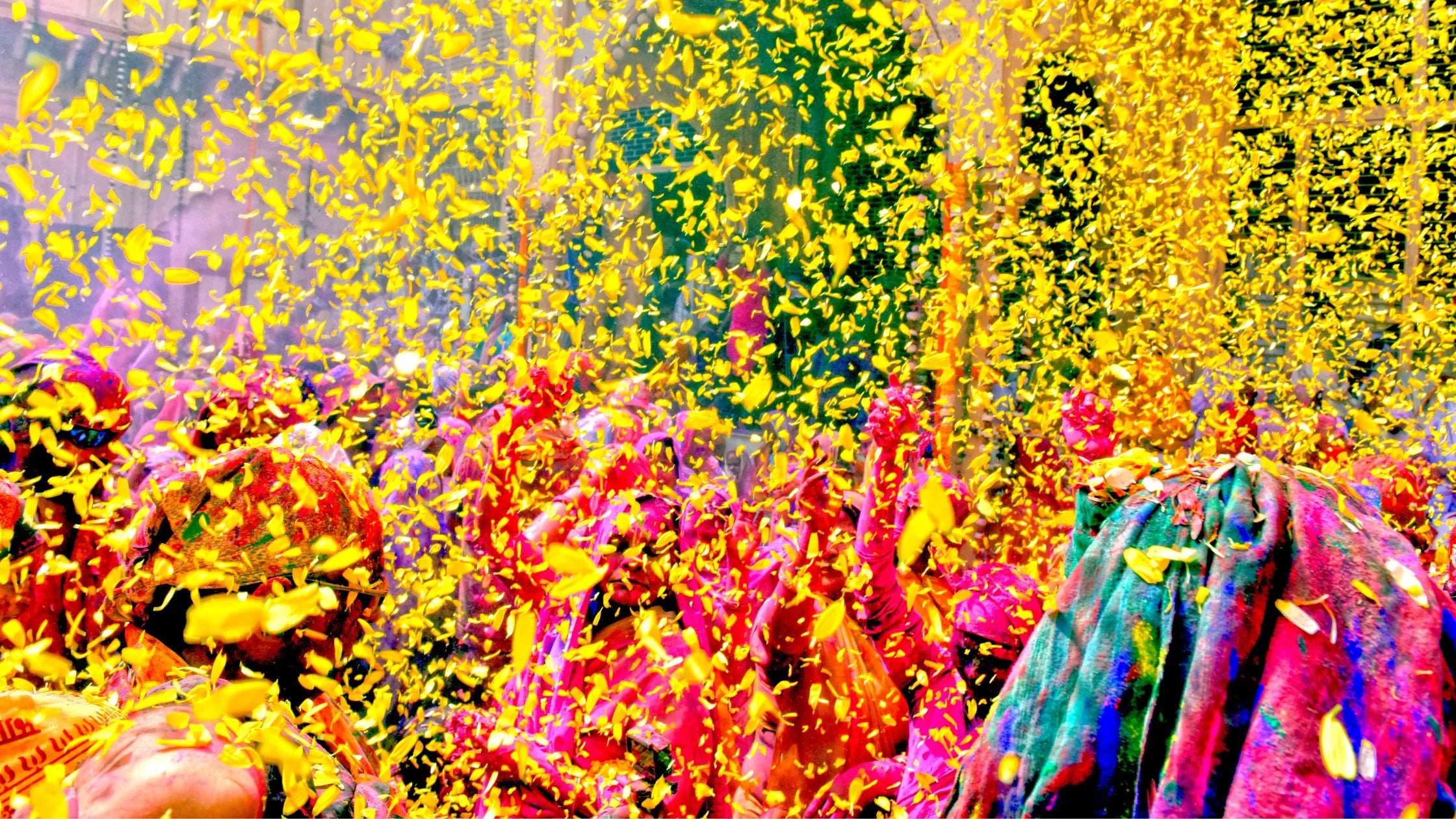 Colorful flowers scattered during Phoolon Ki Holi celebration, symbolizing joy and cultural heritage.