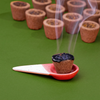 Phool Sambrani Havan Cups