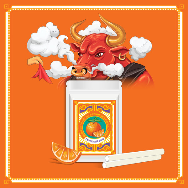 Phool Car Freshener Refill Pack – Tangerine Noir