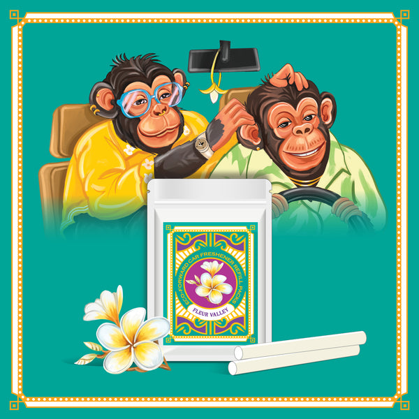 Phool Car Freshener Refill Pack – Fleur Valley