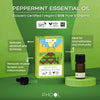 Phool Peppermint Essential Oil (10ml)