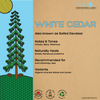 Phool Natural Incense Sticks - White Cedar