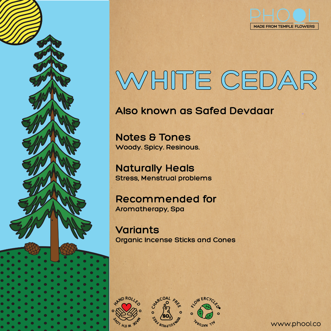 Phool Natural Incense Cones - White cedar Bundle Packs