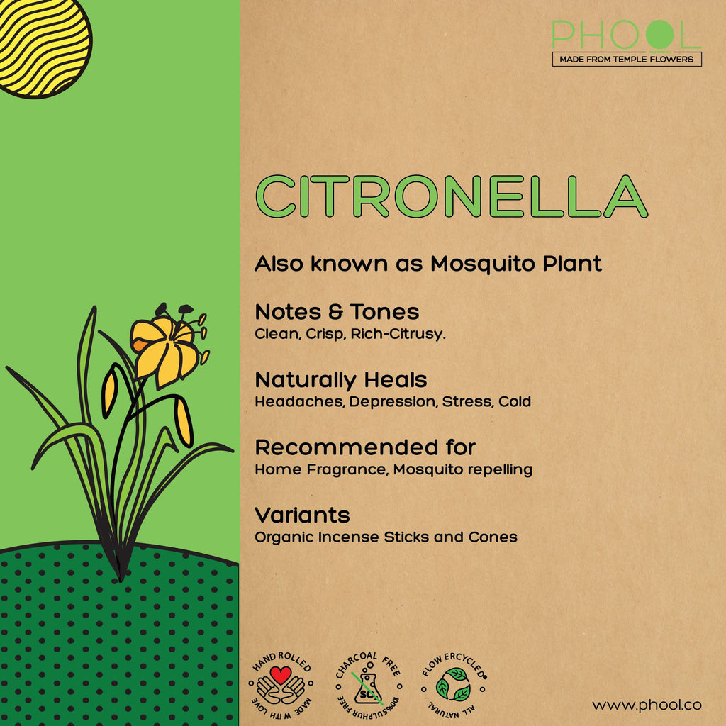 Phool Natural Incense Sticks - Citronella