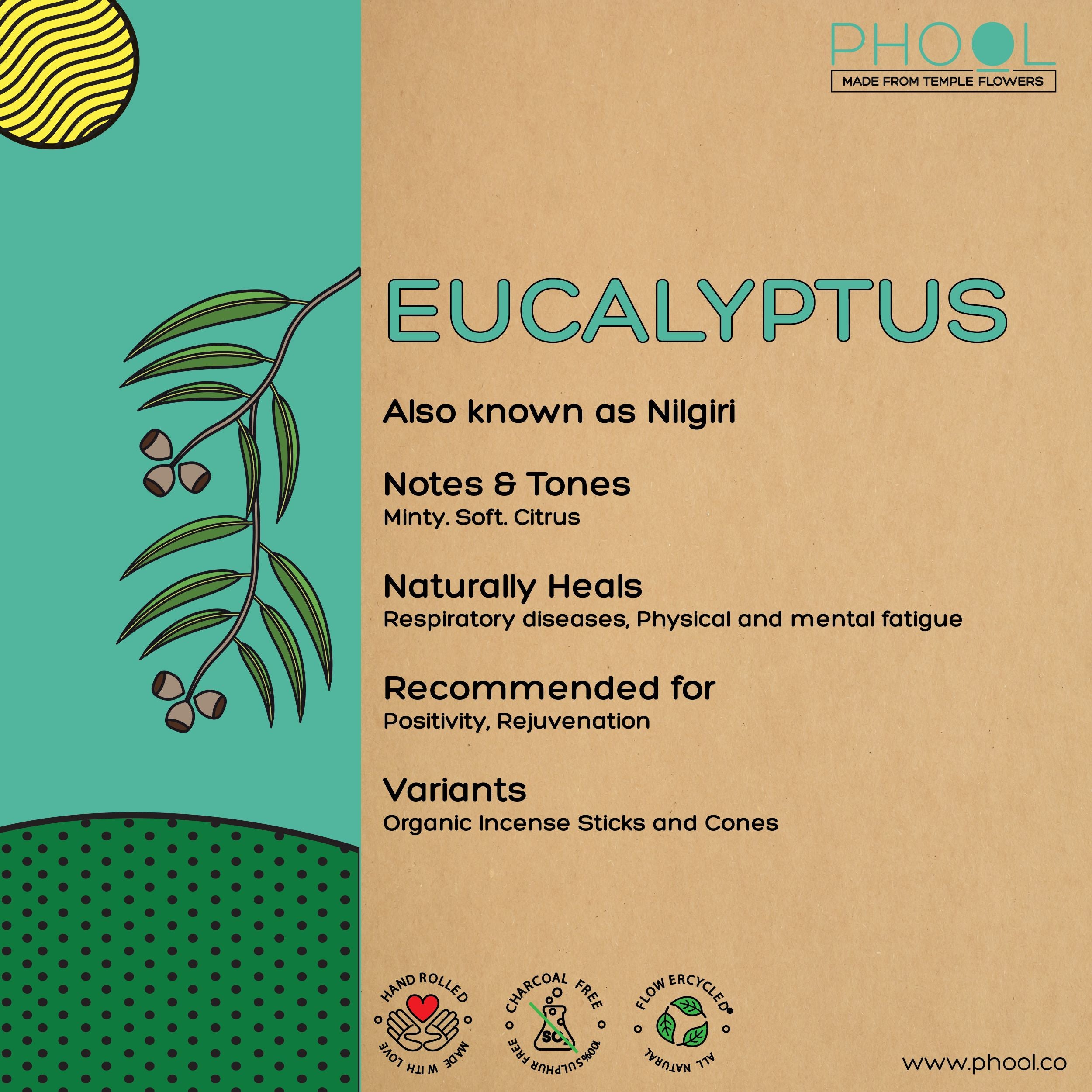 Phool Natural Incense Sticks - Eucalyptus Bundle Packs